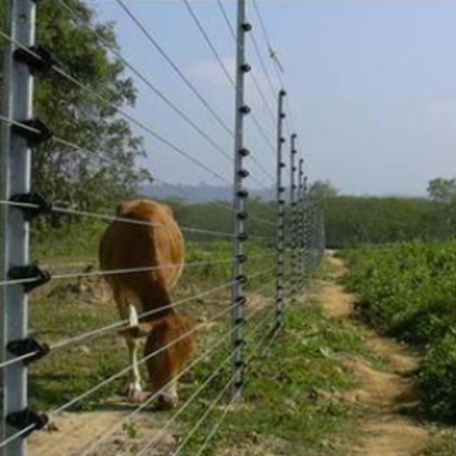 Solar FENCING